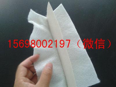 复合土工膜价格